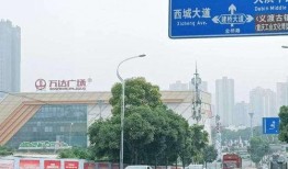 大渡口最新爆料新闻事件